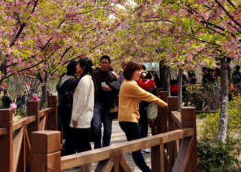 午夜福利视频保（bǎo）潔團隊顧村公園遊玩